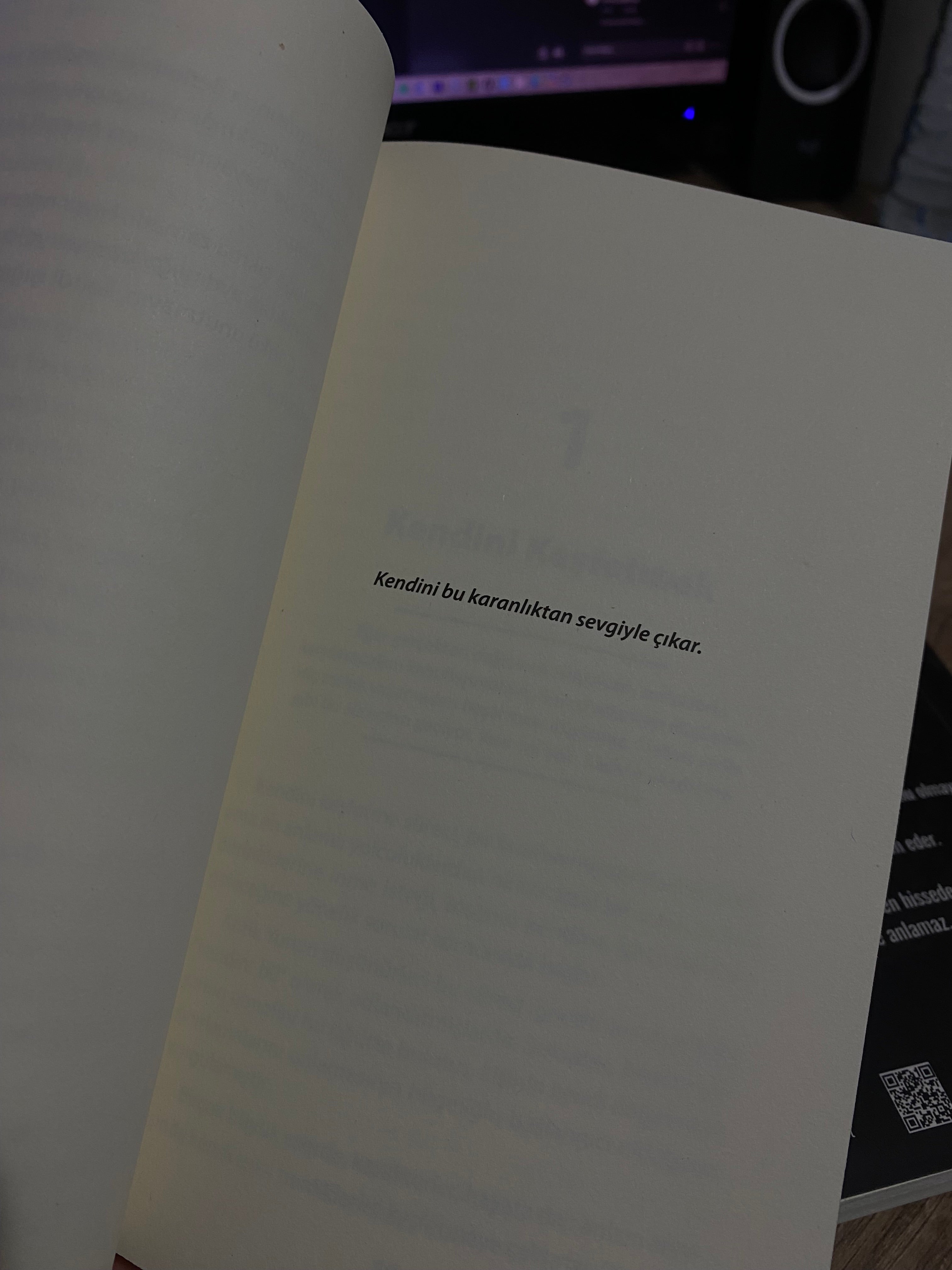Apricity: Karanlıktan Aydınlığa - Genişletilmiş 2. Baskı